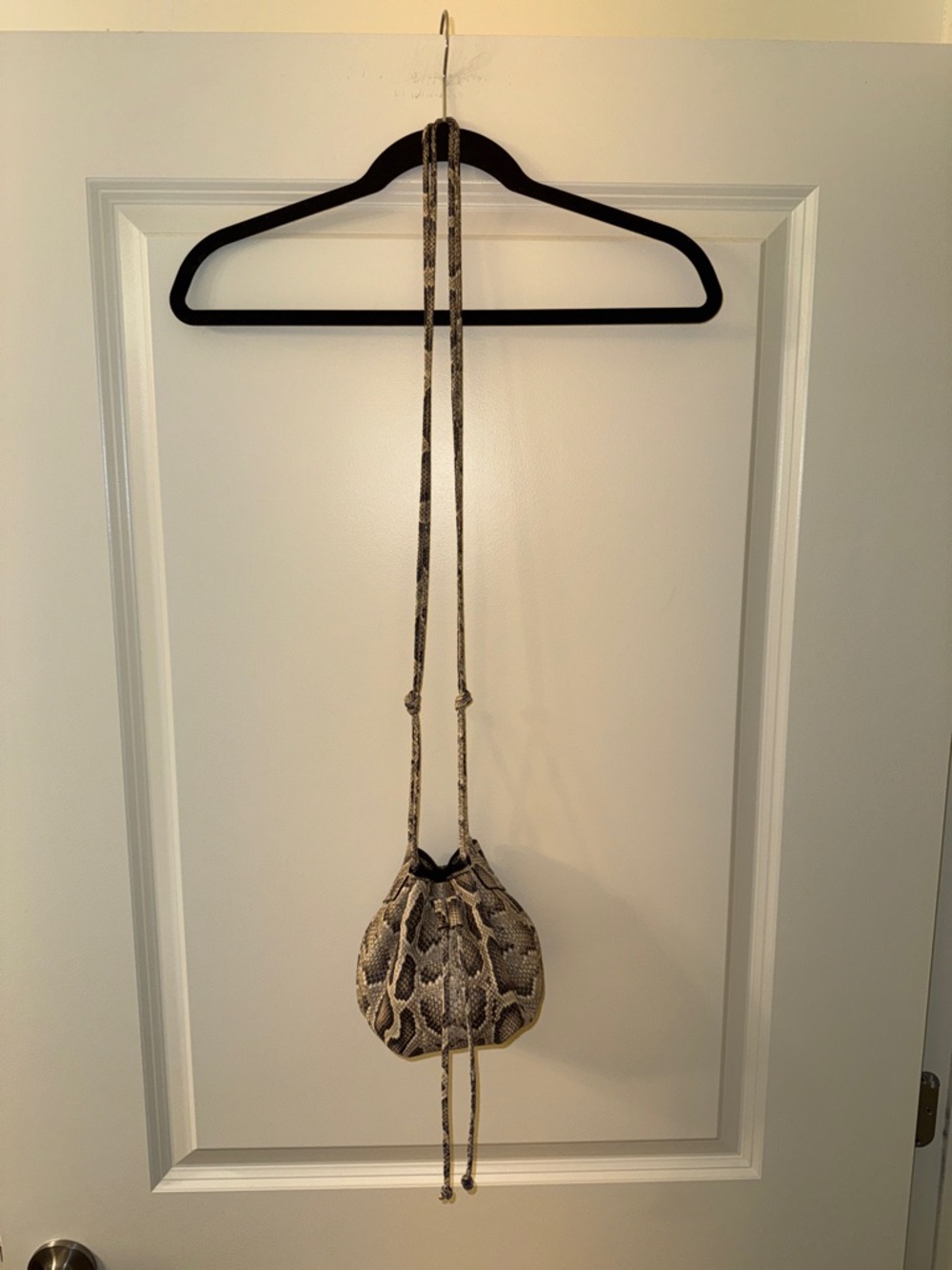 Banana Republic Snakeskin Bucket Crossbody/Shoulder Bag